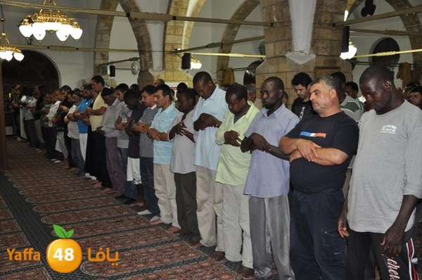 trawe7 7san bek 715 (1).JPG